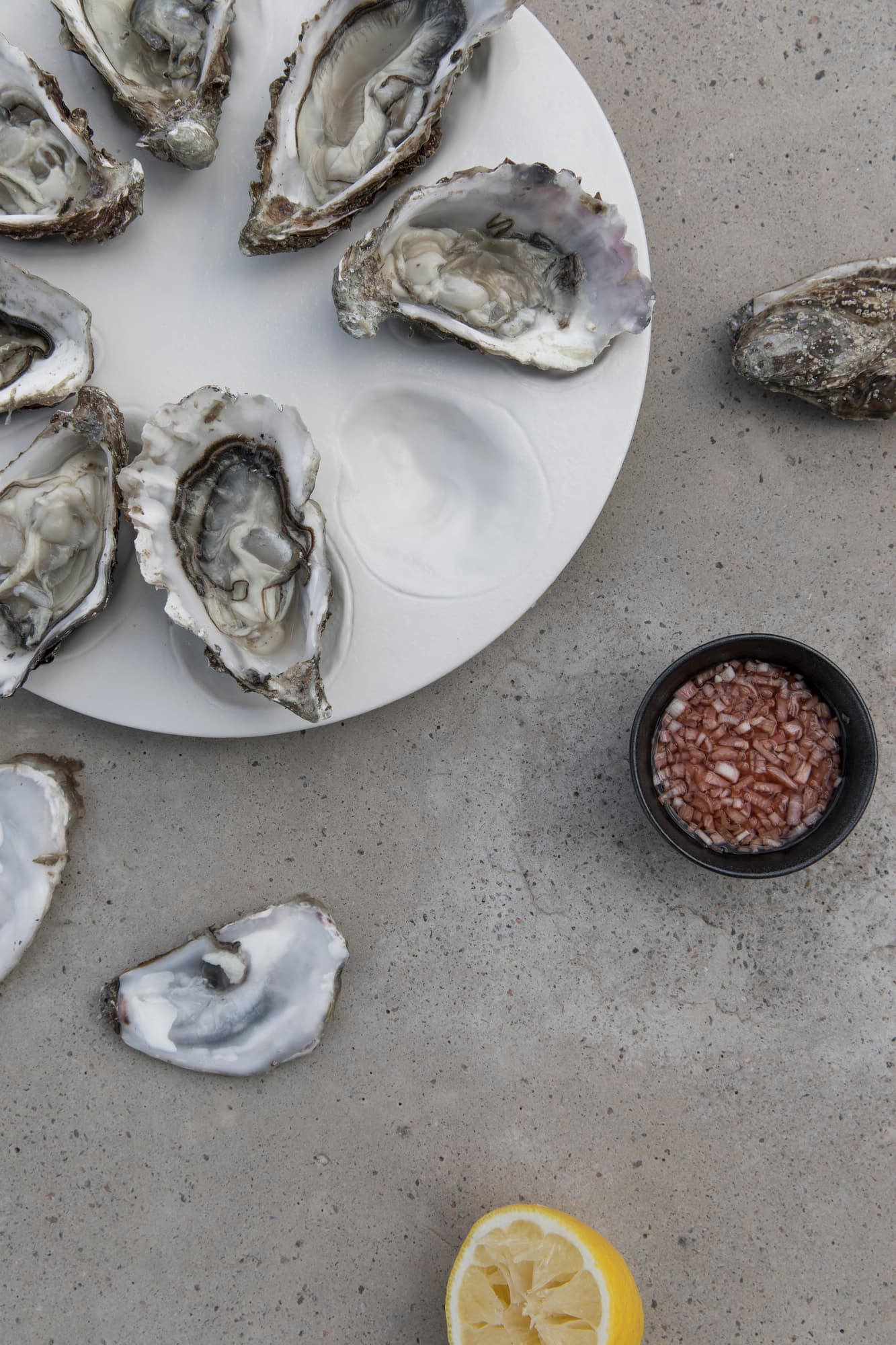 Serveringsfat Oyster – bilde 3